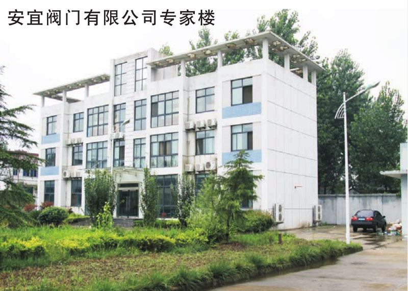 公司专家楼 公司专家楼